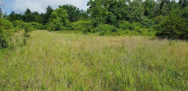 9.70ac Dunbar Rd - Photo 1