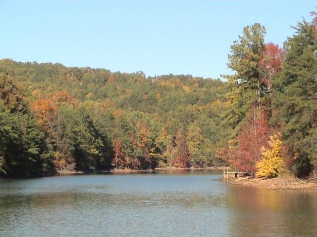 Lot # 43 Laurel Lake Circle - Photo 1
