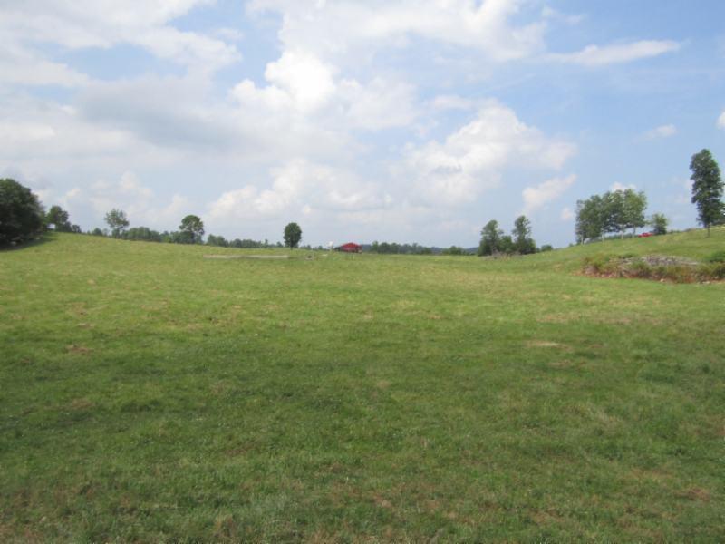 16.92ac Carl Rogers Rd - Photo 1