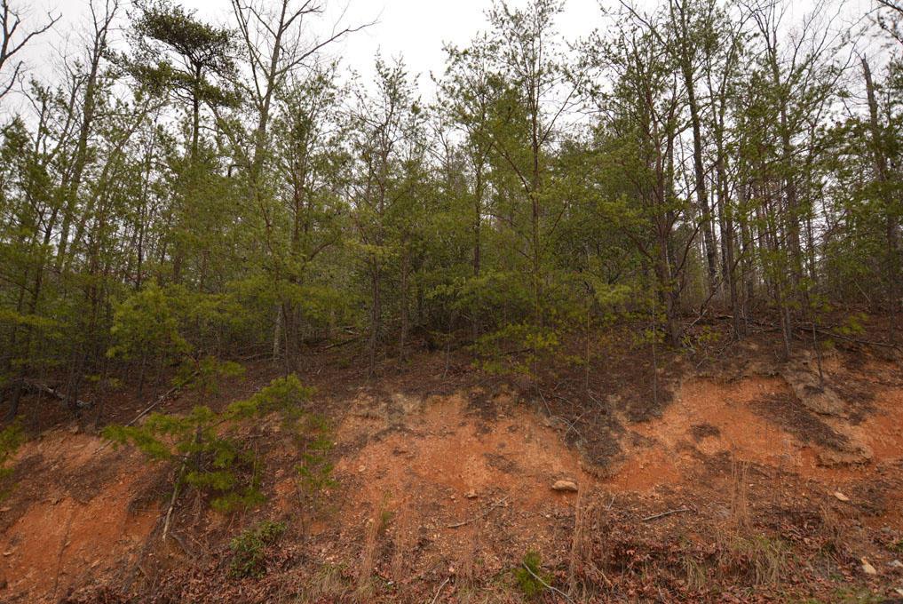 Lot 69 Big Bear Ridge Rd - Photo 1