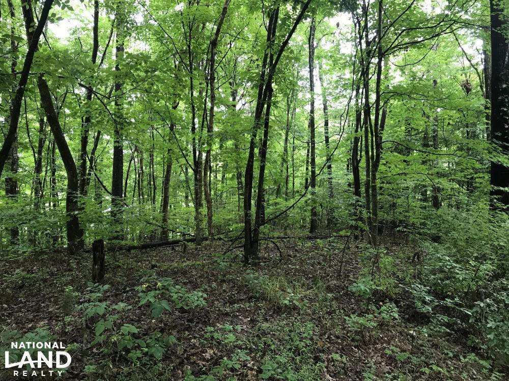 0 Underwood Lane - Photo 1