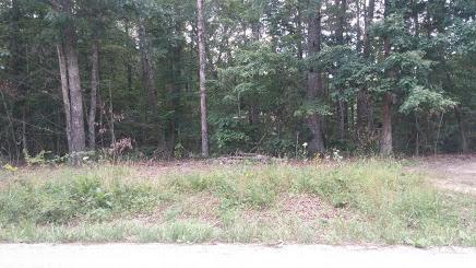 6037 Osage Rd - Photo 1