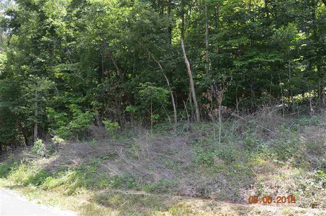 Laurel Lake Circle - Photo 1