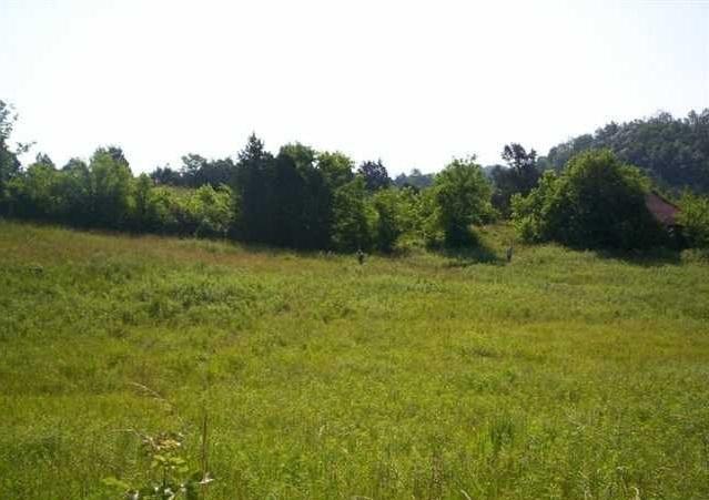 1314 Bruner Grove Rd/Goodwater Rd - Photo 1
