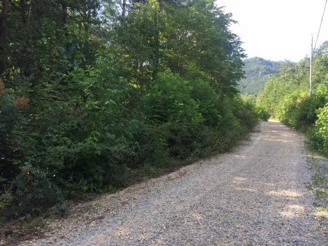 Bogard Creek Road - Photo 1