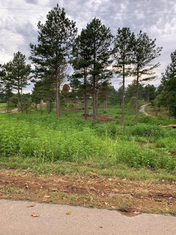 Ward Rd Tract 10 - Photo 1