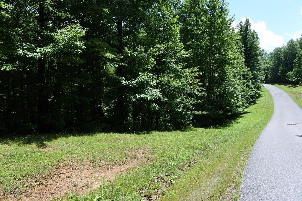 Laurel Way - Photo 1