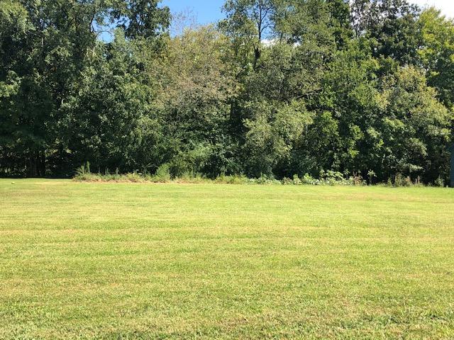 Lot 8 Oma Lee Drive - Photo 1