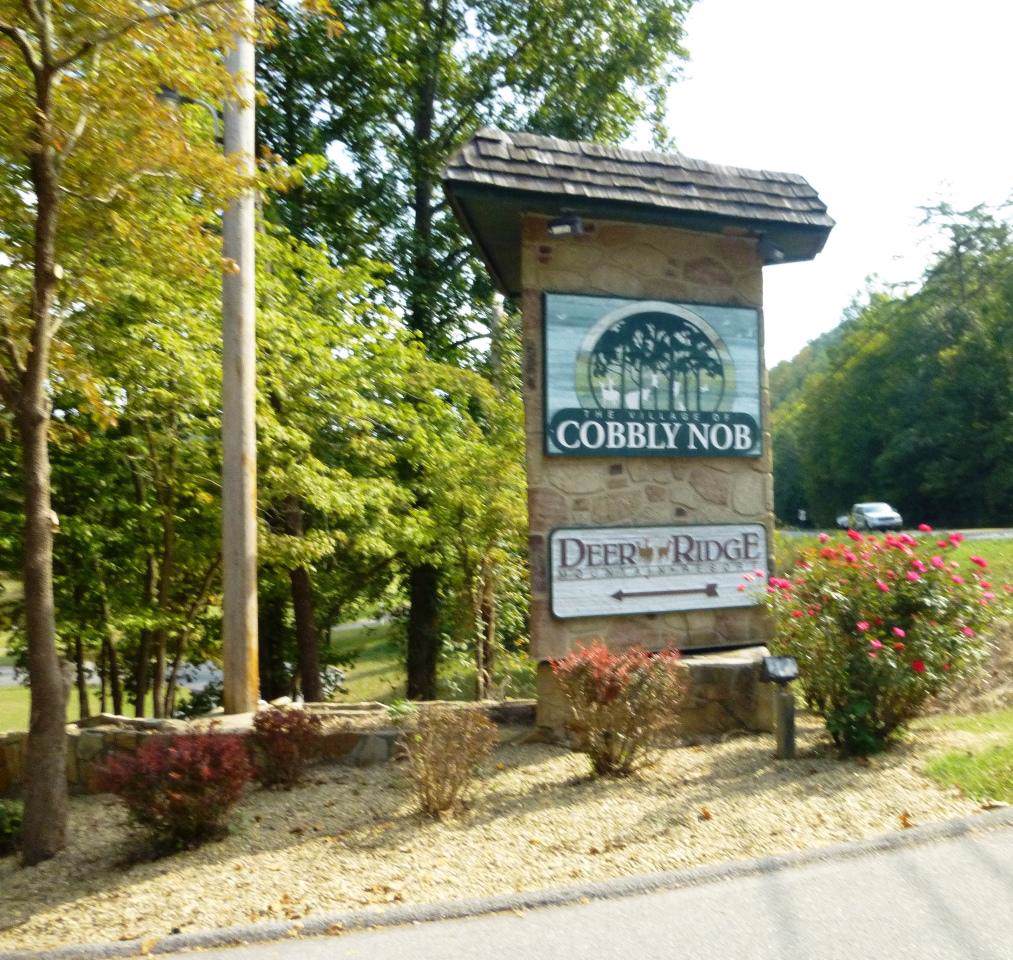 920 Pine Cone Way Gatlinburg Tn 37738 1095449 Tennessee