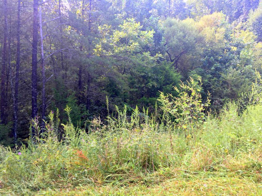 Anderson Rd - Photo 1