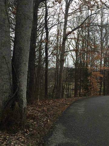 0 New Providence Rd - Photo 1