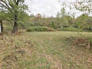 Woods Hollow Road - Photo 1