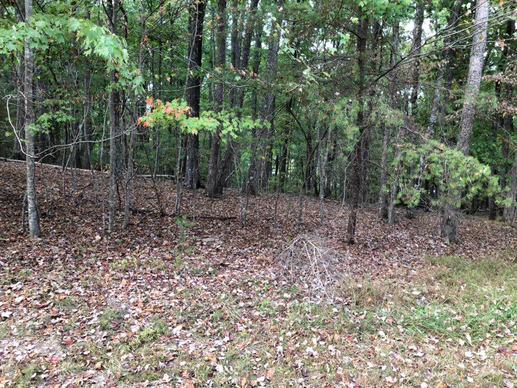 13 Harley Circle - Photo 1