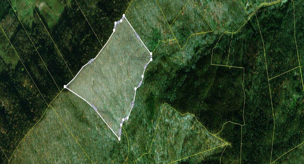 Skaggs Hollow Rd - Photo 1