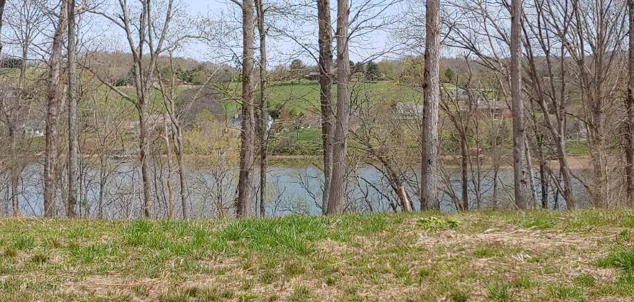 Eagle Nest Drive - Photo 1