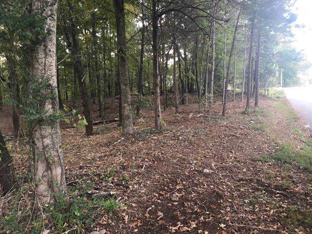00 Grider Rd Tract #1 - Photo 1