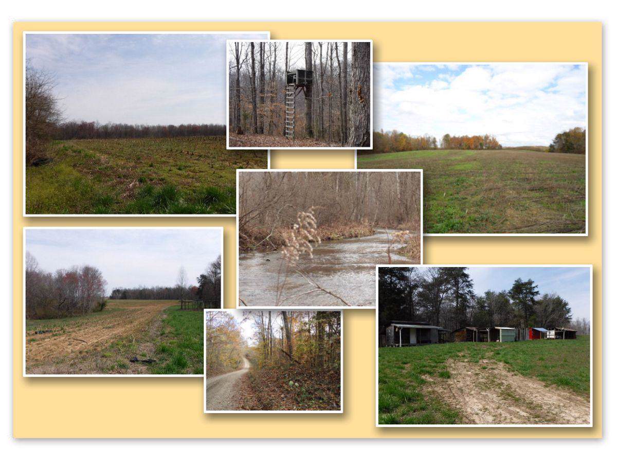 627 Birdwell Rd Rd - Photo 1