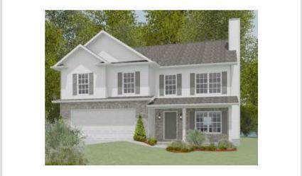 2725 Wild Ginger Lane - Photo 1