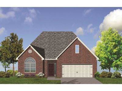 1720 Green Parrot Drive - Photo 1