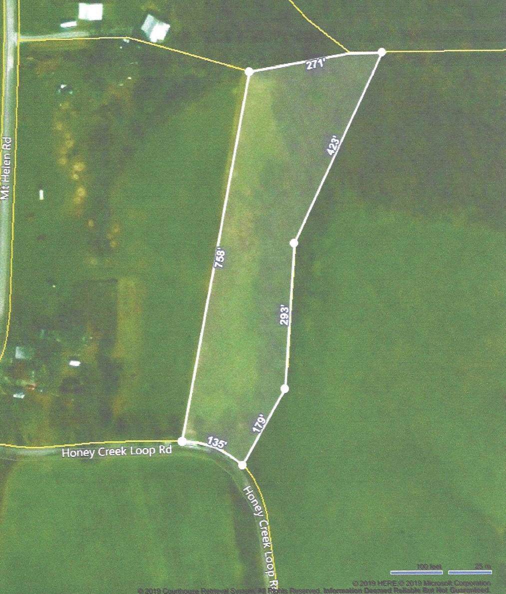 Honey Creek Loop Rd - Photo 1