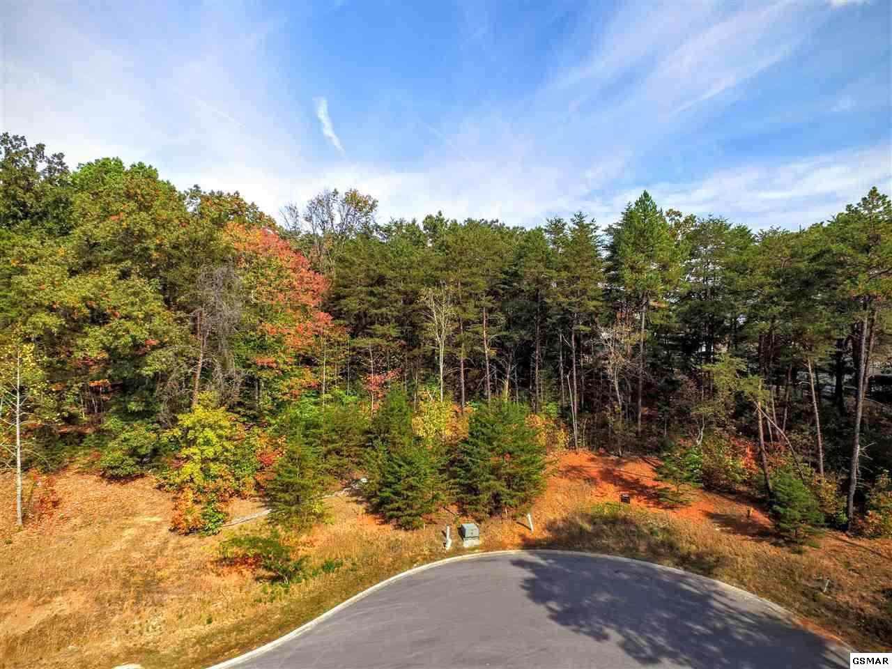 Lot 68 Sierra Lane - Photo 1 Lot 68 Sierra Lane - Photo 1