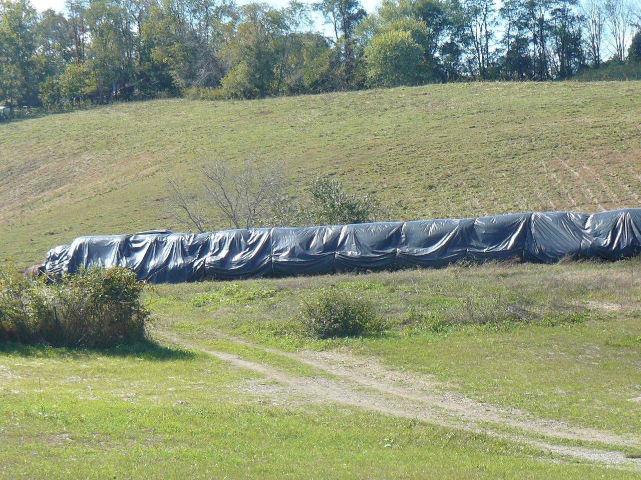 Old Cave Springs Road - Photo 1