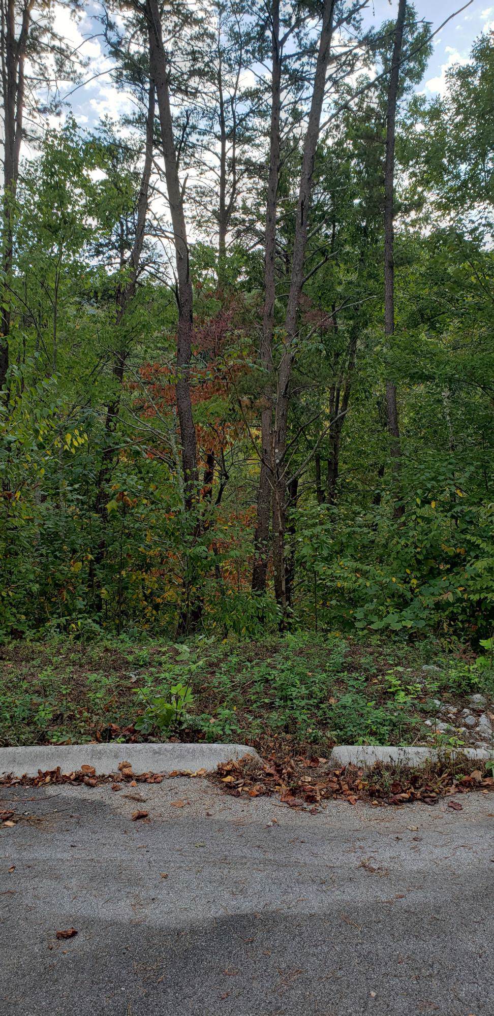 Lot 5 Happy Hollow Rd - Photo 1 Lot 5 Happy Hollow Rd - Photo 1