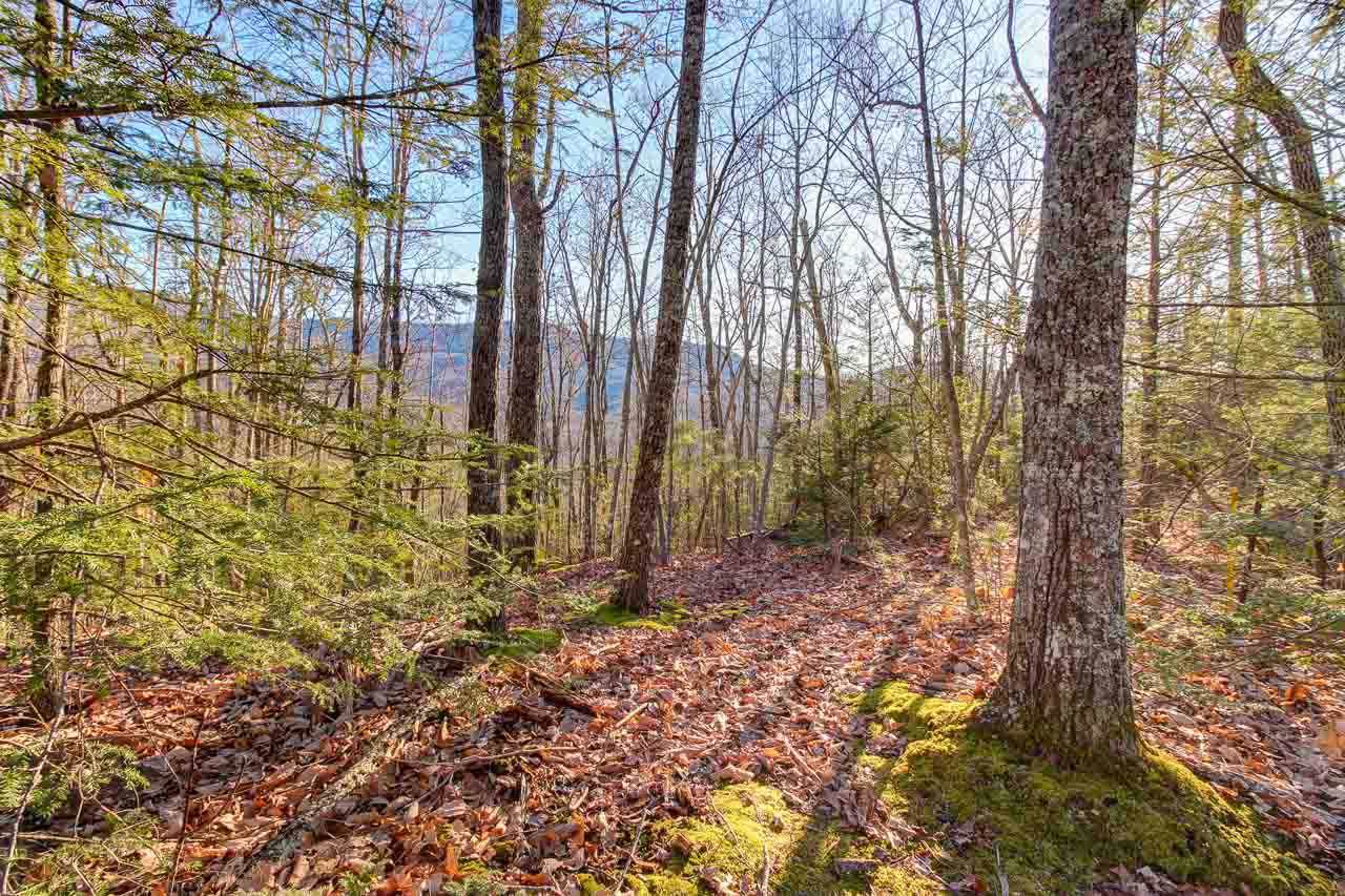 Lot 40 Mathis Hollow Rd - Photo 1