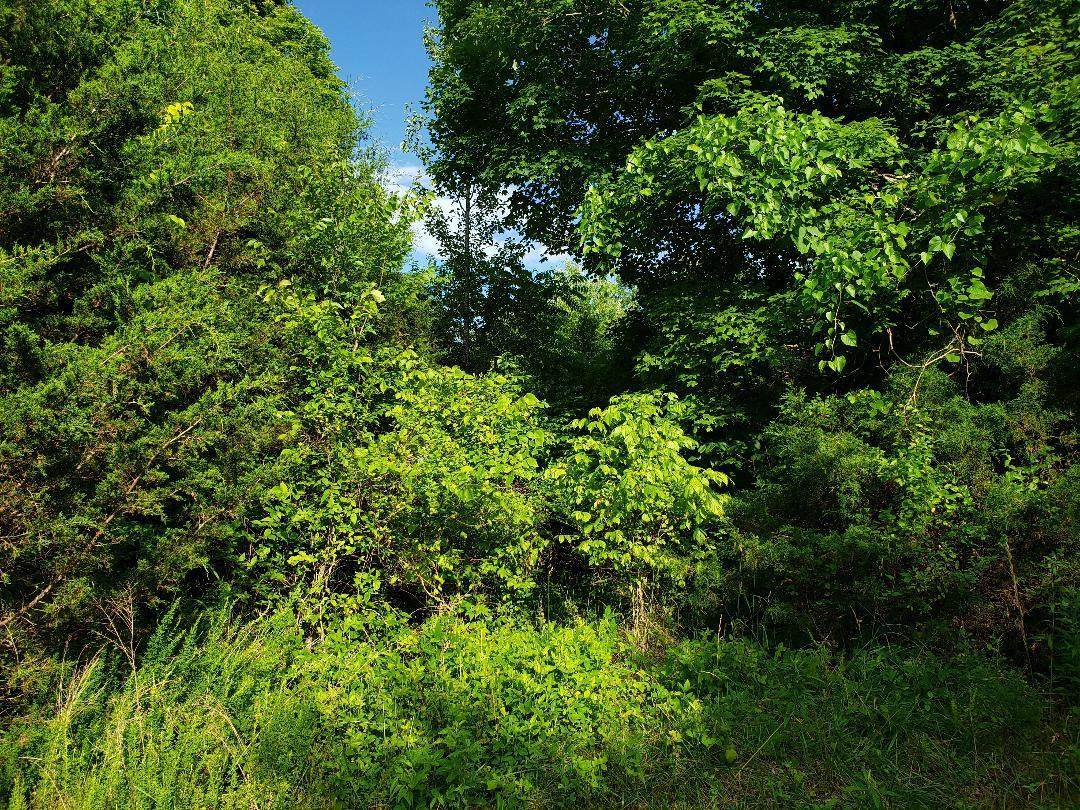 261 W. Mount Rd - Photo 1