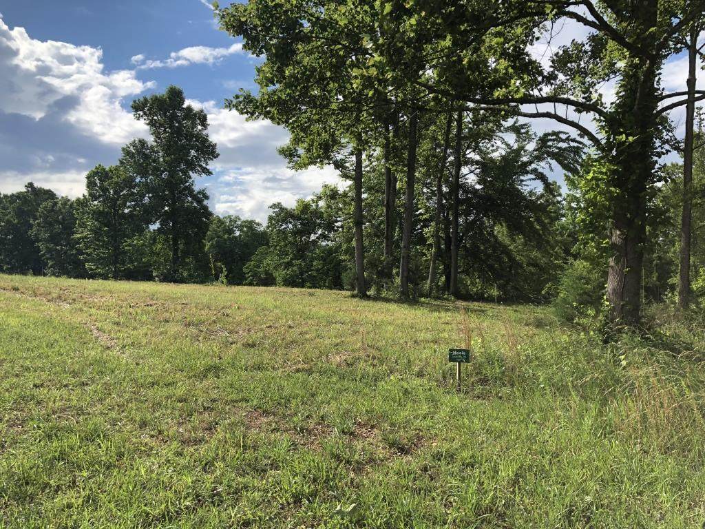Windsong Lane Lot 43 Way - Photo 1