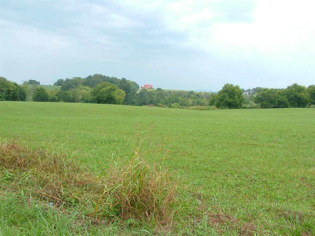 Lot 5 New Union Rd - Photo 1