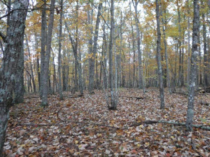 12.74ac Arrowhead Rd - Photo 1 12.74ac Arrowhead Rd - Photo 1