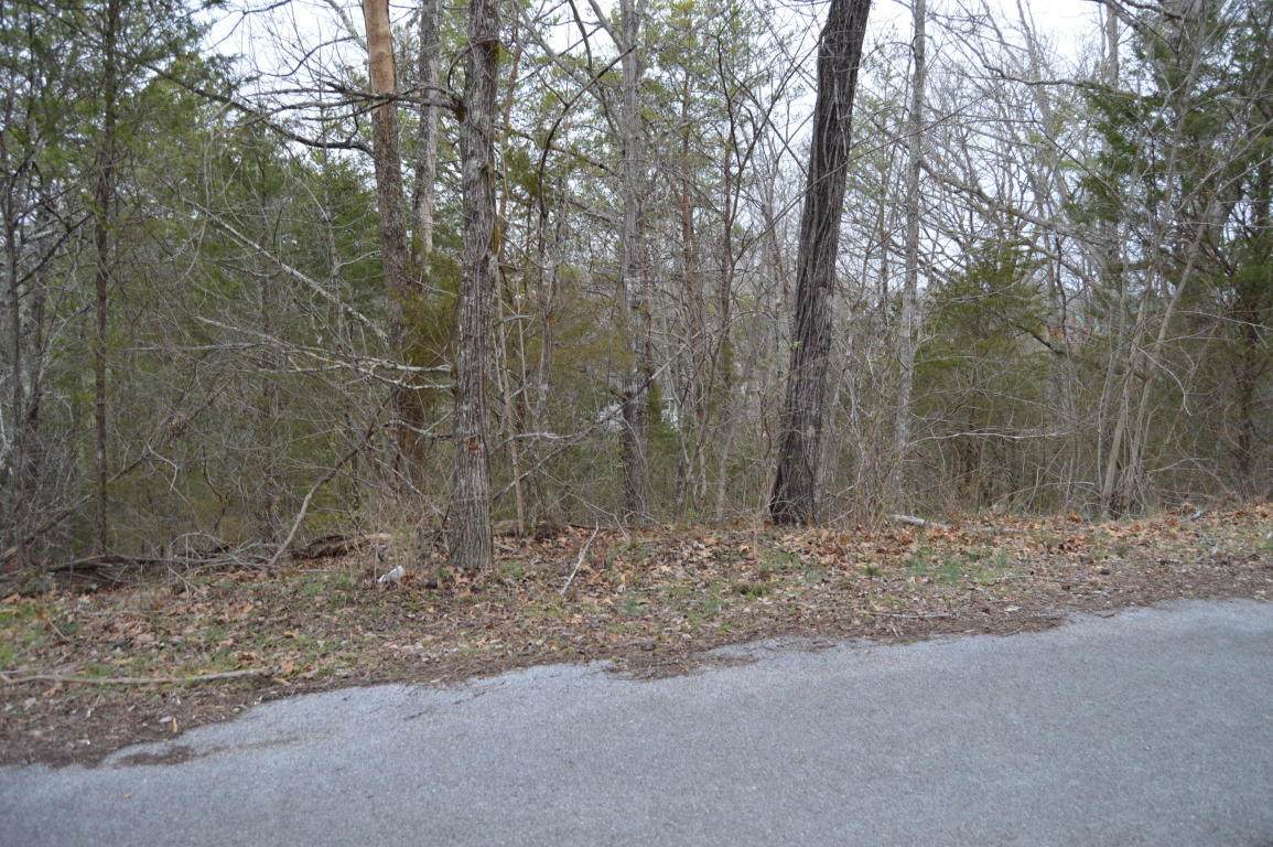 Lot 54&55 Knob Creek Blvd - Photo 1