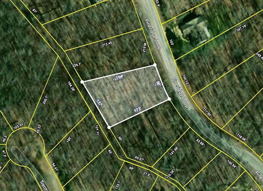 121 Pineridge Loop - Photo 1