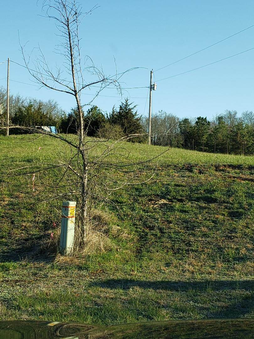 Byrd Farm Lane - Photo 1