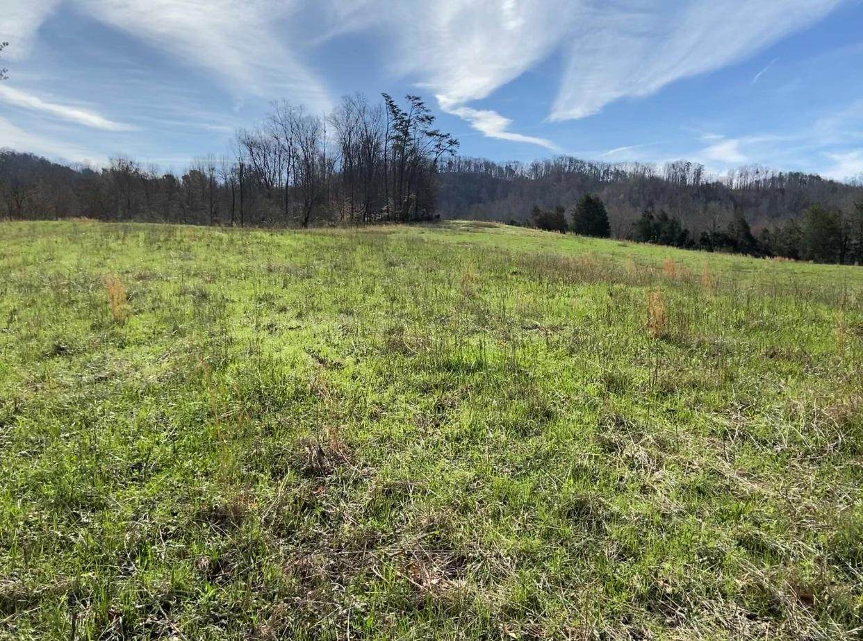 Timber Creek Rd - Photo 1 Timber Creek Rd - Photo 1