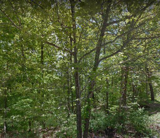 159 Baltusrol Rd - Photo 1