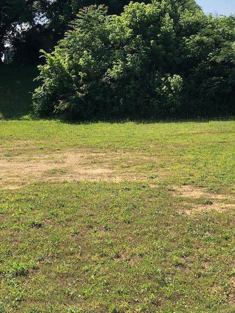 7008 Poskita Lane - Photo 1