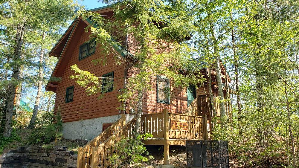 350 Wild Orchid Way - Photo 1