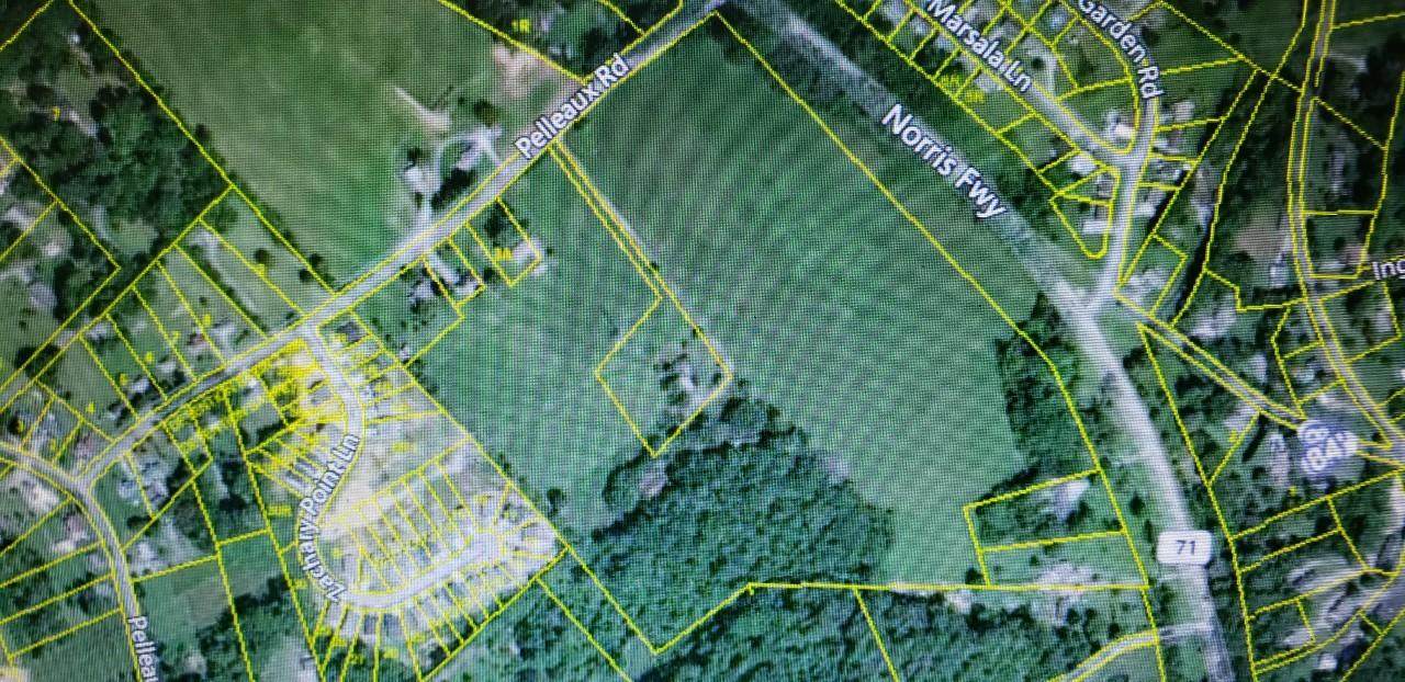 8150 Pelleaux Rd - Photo 1