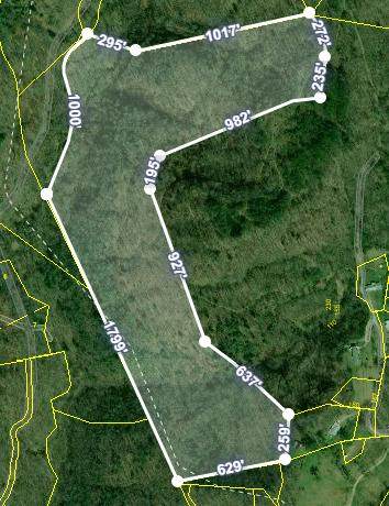Teague Mountain Rd - Photo 1