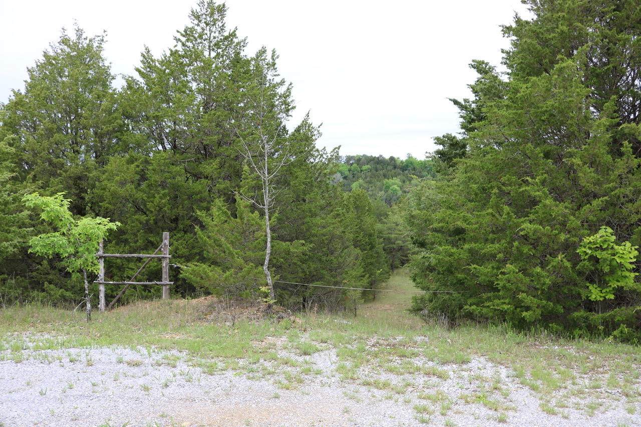 Lot 35 Buck Horn Rd - Photo 1 Lot 35 Buck Horn Rd - Photo 1