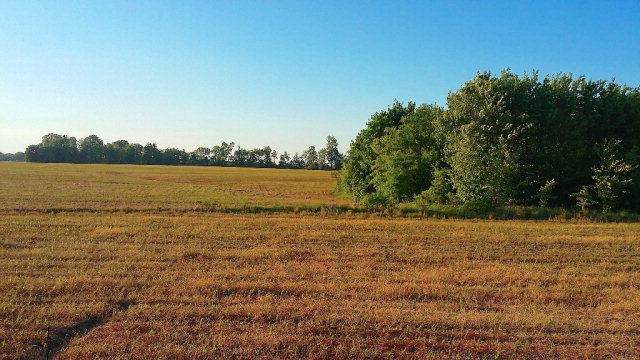 72 Ac Lonnie Cantrell Rd - Photo 1