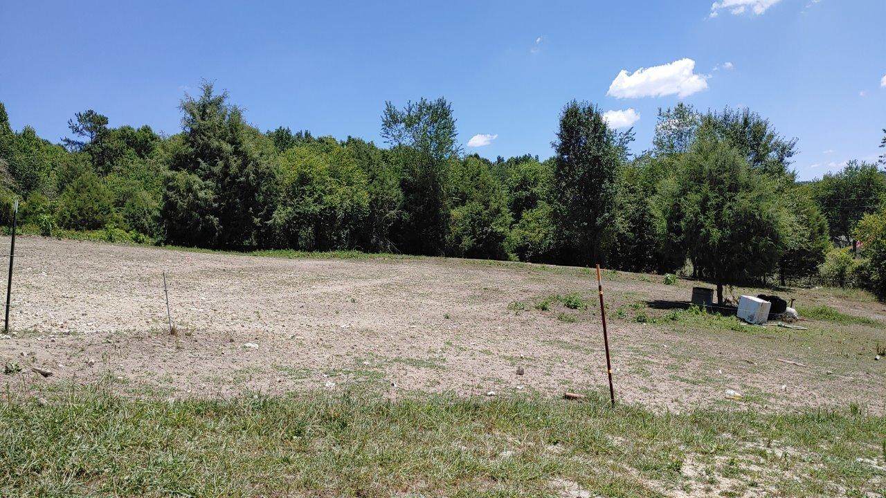 11550 Blue Springs Rd - Photo 1