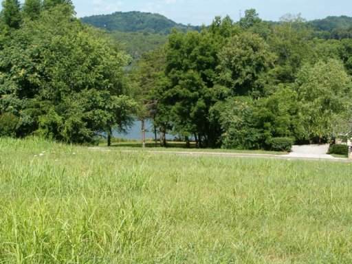 150 Pineberry L 358 Drive - Photo 1