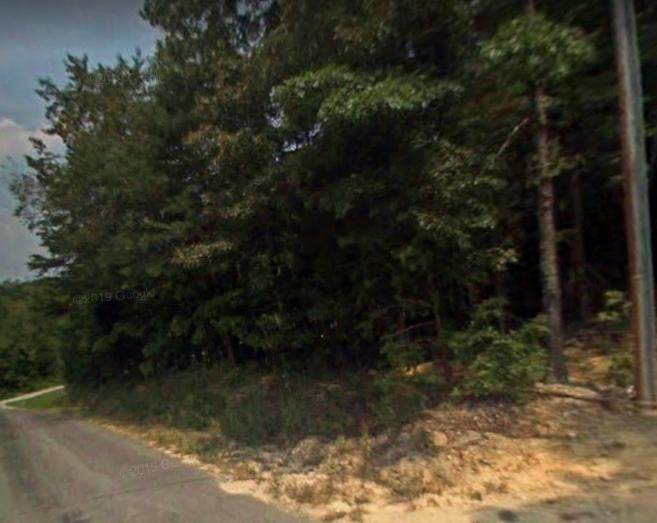 Clear Creek Rd - Photo 1