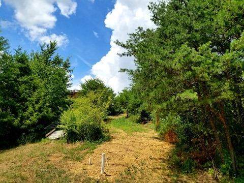 15b Highlands Bluff - Photo 1
