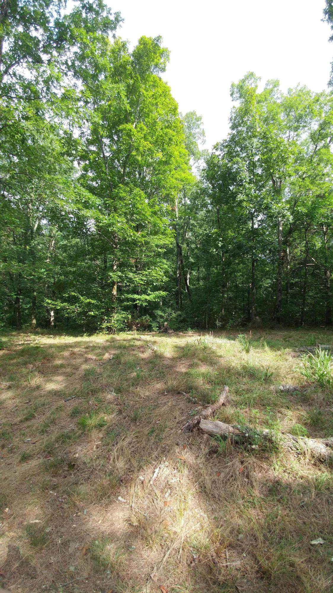 3441 Rutledge Pike - Photo 1