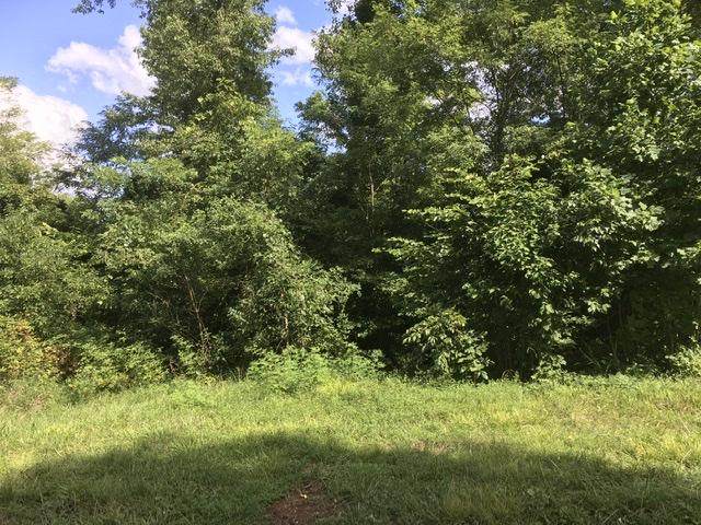 Lot 6 Sunset Blvd - Photo 1
