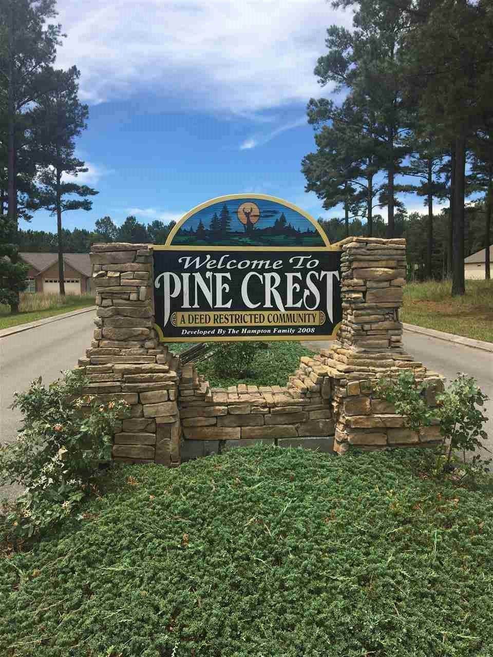 Lot 24 County Road 3050 - Photo 1